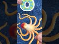 Letter O is for Octopus | Learn the Alphabet with Sea Creatures #seaanimals