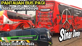 PANTAUAN KEBERANGKATAN DAN KEDATANGAN BUS ANGKTAN PAGI DARI POOL PENDOPO ‼️ SINAR DEMPO & BUS TIA