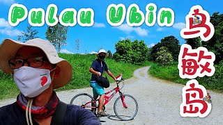 【帶你逛逛】新加坡的烏敏島，騎行環島回歸一下大自然 Cycling around Pulau Ubin during National Day Holidays in Singapore