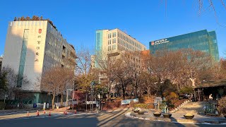 [4K SEOUL] Sogang University Campus Walking Tour in Seoul