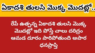 రేపే ఉత్పన్న ఏకాదశి తులసి మొక్క మొదట్లో ఇది పోస్తే చాలు దరిద్రం ఆమడ దూరం పారిపోతుంది అపార ధనప్రాప్తి