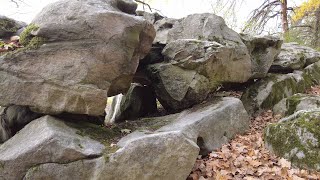 Das Großsteingrab am Dorm bei Groß Steinum (Niedersachsen)