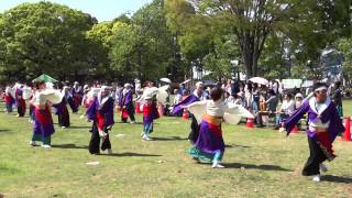 雁微笑連 「飛天　～ひてん～」／芝生流し会場／第12回 あっぱれ富士2014