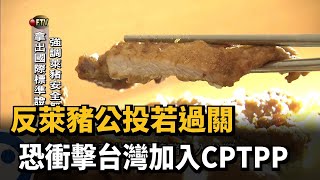 反萊豬公投若過關 恐衝擊台灣加入CPTPP－民視新聞