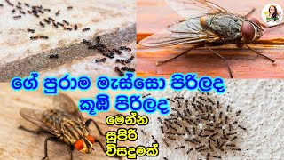 මැස්සන්ට කූබ්න්ට බායි කියමුද....| මැස්සන් එලවන ක්‍රම | කූබ් එලවන ක්‍රම