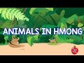 Hmong Channel Jungle Animals from Hmong Kids Channel