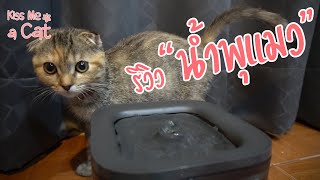 รีวิวน้ําพุแมว Petkit Eversweet SOLO รุ่นใหม่ | Kiss Me a Cat