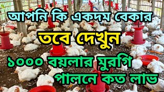 আপনি কি একদম বেকার তবে দেখুন ১০০০ বয়লার মুরগি পালনে কত লাভ |