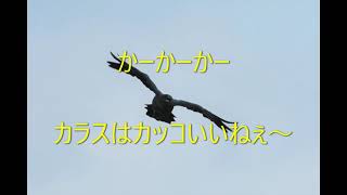 カラスの大群　大地震の前兆か？   カラスは神の使いらしいよ!(^^)!