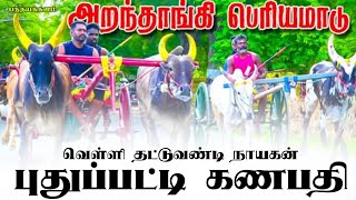 அறந்தாங்கி மாட்டுவண்டி  பந்தயம் புதுப்பட்டி கணபதி....🦁