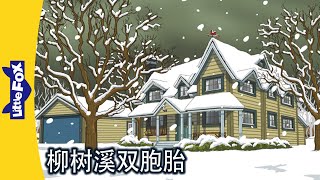 柳树溪双胞胎 47～48｜The Willow Creek Twins｜中文动画｜Chinese Stories for Kids | Little Fox Chinese