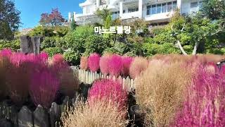 제주도 여행 11월 풍경들