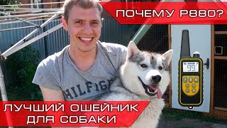 Petcomer P880 - Лучший электроошейник для собак!