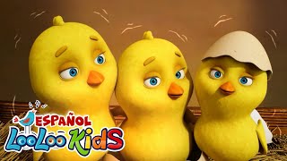 🐥 Los Pollitos Dicen Pío Pío - LooLoo Kids Español 🎶 | Canción Infantil Clásica para Niños y Bebés