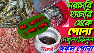 মাত্র ২৫০০/= টাকায় ১ লাখ মাছের  সকল পোনা | পরামর্শ যোগাযোগ ও অভিযোগ করতে সরাসরি সততা মৎস্য হ্যাচারি