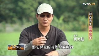 農家子弟柯力誌 熱血農夫翻轉農村 TVBS一步一腳印 20161204 (1/4)