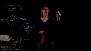 Chapter 3: Decision Structures & Boolean Logic - PRG105