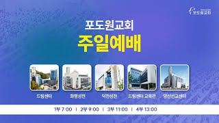 2025.02.02 포도원교회 실시간 주일1부예배