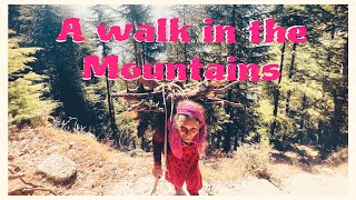 मैं, संगीत  और  पहाड़ 🌄|| Random Morning walk🚶‍♀️in Mountains|| Unexplored KHAJIAR⛰️||