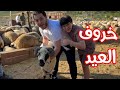 رد فعل سنود لما شاف خروف العيد 🐑 الخروف هرب من عصومي