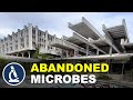 ABANDONED HOTEL is a home of MICROBES