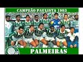 1993 - QUANDO SURGE O DIA DA PAIXÃO PALMEIRENSE!!!!!!