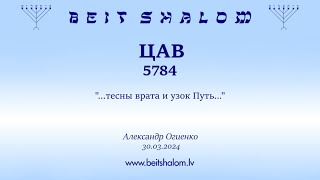 ЦАВ 5784. \