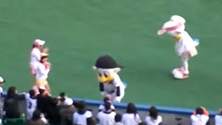 彼女もがっかり…バク転(後方転回)どころか逆立ちも不可な残念なマスコット プロ野球 千葉ロッテマリーンズ マーくん