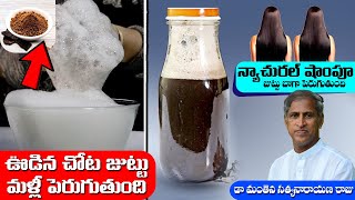 Homemade Natural Shampoo | బెస్ట్ నేచురల్ షాంపూ ఇది | Shikakai | Dr Manthena Satyanarayana Raju