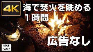 【焚き火動画】海で焚き火を眺める一時間　広告無し(ぐっすり眠れる癒しの動画、波の音)