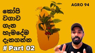 04.ශ්‍රී ලංකාවෙ කෝපි වගාව, Coffee cultivation in Sri Lanka..