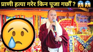 प्राणी हत्या गरेर साङ पूजा गर्नु सही हो र? 😥  सम्पूर्णले साङ र सुर पूजाको बारेमा जान्नै पर्ने कुरा 😱