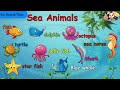 preschool kids lesson sea animals name kids english vocabulary water animals name