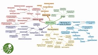 Nitrates | Mind map