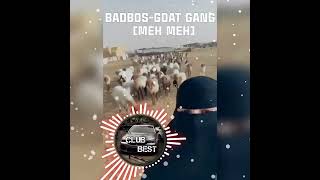 BADBOS-GOAT GANG [MEH MEH] CLUB BEST#clubmusic #clubbestmusic