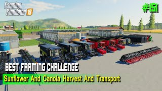 Harvest 400000 Liters of CANOLA and SUNFLOWERS | #151 | Best Farming Challenge | #fs19gameplay