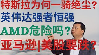 美股662|特斯拉为何一骑绝尘?英伟达强者恒强!AMD危险吗?亚马逊盘整,美股要跌吗? #tsla #nvda #amd #amzn #美股分析 #DrMikeInvest #ai #stocks