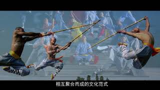 Kung fu Shaolin 少林功夫