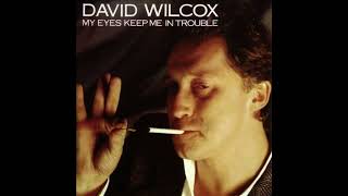 David Wilcox   Downtown Came Uptown HQ with Lyrics in Description