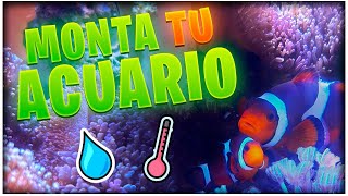 Como montar un acuario marino 🐠🪸Guia basica paso a paso (FACIL)