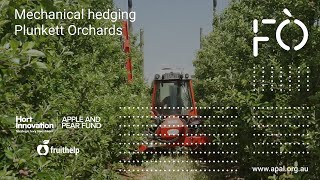 Future Orchards® - Mechanical hedging at Plunkett Orchards