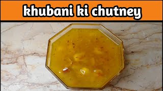 Khubani ki Chatni | How to Make Dry Apricot Sauce | Sweet Apricot Sauce Recipe | Perfect Taste