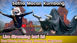 #live Bantengan Satria macan kumbang hari ini