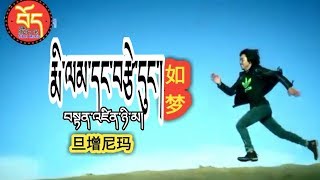 旦增尼玛《如梦》བསྟན་འཛིན་ཉི་མ།Tenzin Nyima