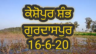 ਕੇਸ਼ੋਪੁਰ ਛੰਭ 'ਗੁਰਦਾਸਪੁਰ/Gurdaspur travel/16-6-20