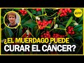 Medicina alternativa en el tratamiento del cáncer