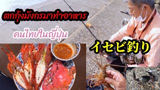 หาอยู่หากินในญี่ปุ่น ep72 ตกกุ้งมังกรที่ญี่ปุ่นมาทำอาหารชีวิตคนไทยในแดนปลาดิบ