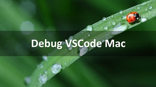 Setup Debugging VSCode mac