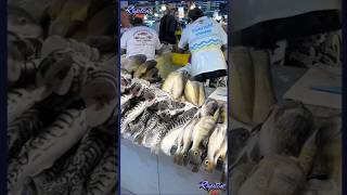 Pasar ikan di amazon