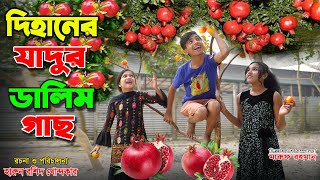 দিহানের জাদুর ডালিম গাছ   | Bengali Fairy Tales | Fairy Angel Story In Bengali | Bangla Natok Dihan